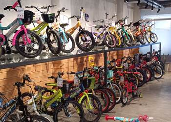 The-bicycle-studio-Bicycle-store-Sector-67-gurugram-Haryana-3