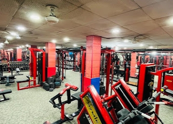 The-bulls-gym-Gym-Sector-41-noida-Uttar-pradesh-2