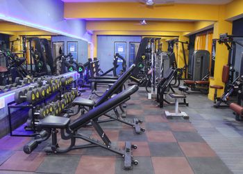 The-gym-Gym-Rewa-Madhya-pradesh-2