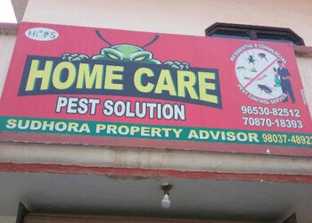 The-home-care-pest-solution-Pest-control-services-Ludhiana-Punjab-1