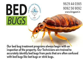 The-king-pest-management-Pest-control-services-Peelamedu-coimbatore-Tamil-nadu-1