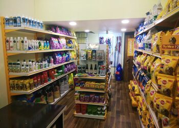 The-pet-mansion-Pet-stores-Shivaji-peth-kolhapur-Maharashtra-2