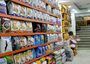 The-pet-point-Pet-stores-Chandni-chowk-delhi-Delhi-2