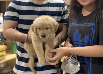 The-pet-point-Pet-stores-Old-delhi-delhi-Delhi-3