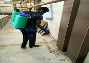 Tp-pest-control-service-Pest-control-services-Bhubaneswar-Odisha-2