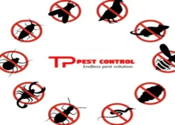 Tp-pest-control-service-Pest-control-services-Jayadev-vihar-bhubaneswar-Odisha-1