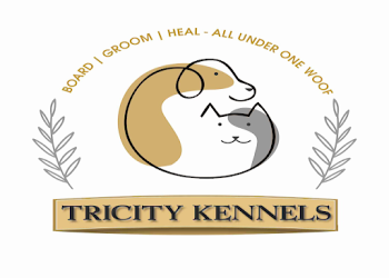 Tri-city-kennels-Veterinary-hospitals-Chandigarh-Chandigarh-1