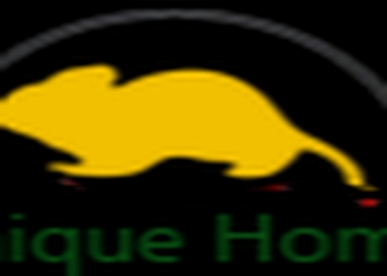 Uhspl-pest-control-services-Pest-control-services-New-delhi-Delhi-1