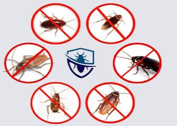 Unicare-facility-management-services-Pest-control-services-Bhubaneswar-Odisha-2