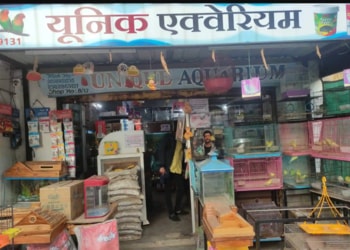 Unique-aquarium-complete-pet-shop-Pet-stores-Bhilai-Chhattisgarh-1