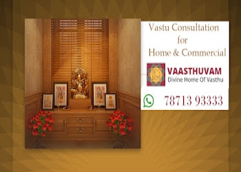 Vasthu-narayanan-Vastu-consultant-Chennai-Tamil-nadu-2