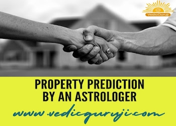 Vedic-guru-ji-Vastu-consultant-Janakpuri-delhi-Delhi-1