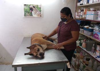 Vet-clinic-Veterinary-hospitals-Akota-vadodara-Gujarat-2