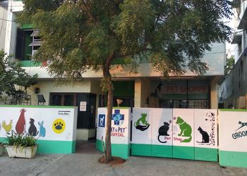 Vet-n-pet-hospital-Veterinary-hospitals-Habsiguda-hyderabad-Telangana-1