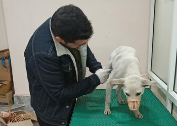 Vetycos-Veterinary-hospitals-Jammu-Jammu-and-kashmir-3