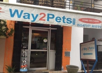 Way2petscom-Pet-stores-Aliganj-lucknow-Uttar-pradesh-1