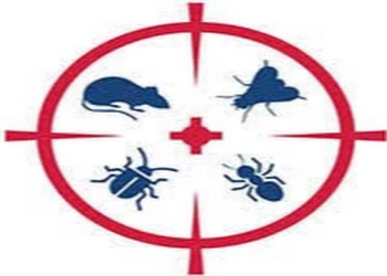 Xperts-pest-control-services-pvt-ltd-Pest-control-services-Hitech-city-hyderabad-Telangana-1