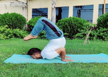 Yogadhani108-Yoga-classes-Ghaziabad-Uttar-pradesh-1