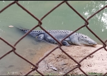 Zoological-garden-Public-parks-Burdwan-West-bengal-2